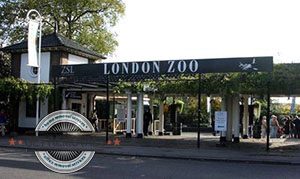 London Zoo