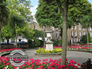 Canonbury-flowers