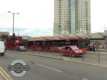 Edmonton-Buses